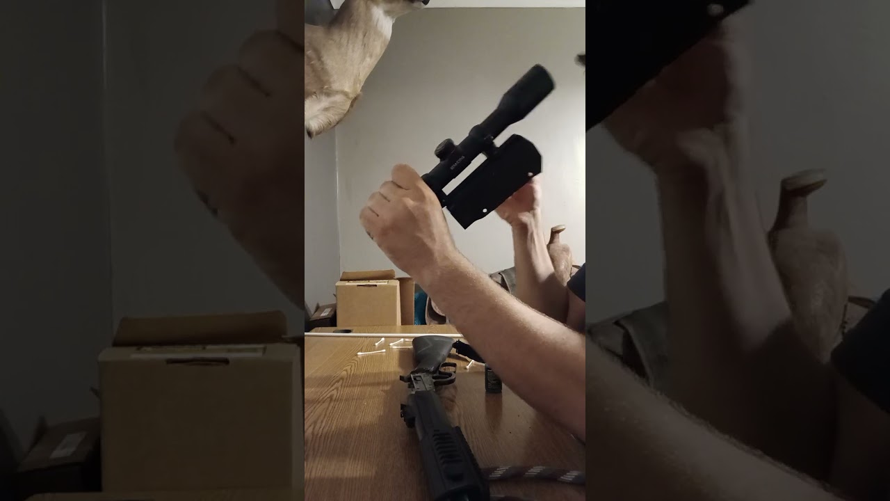 How to clean The Rossie Rio brovo 22LR