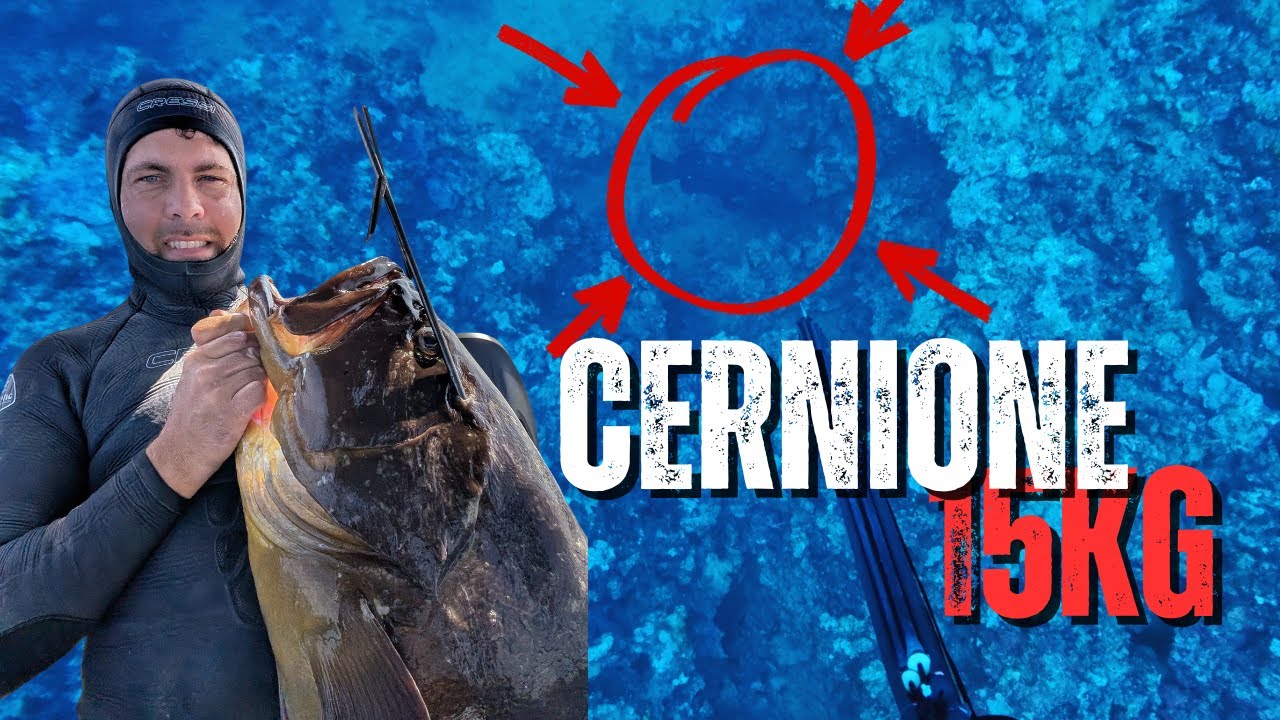 Come lavoro e catturo una grossa cernia a 45 metri!