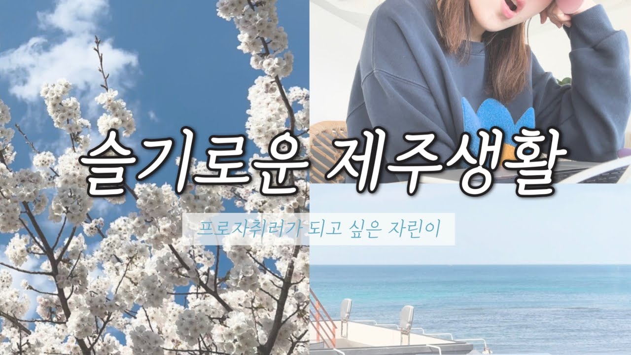 제주에서 자취하면 뭐해? | 슬기로운 제주자취생활 | 제주자취 이모저모 | 제주벚꽃 | 제주 오션뷰 카페 | 자취 브이로그