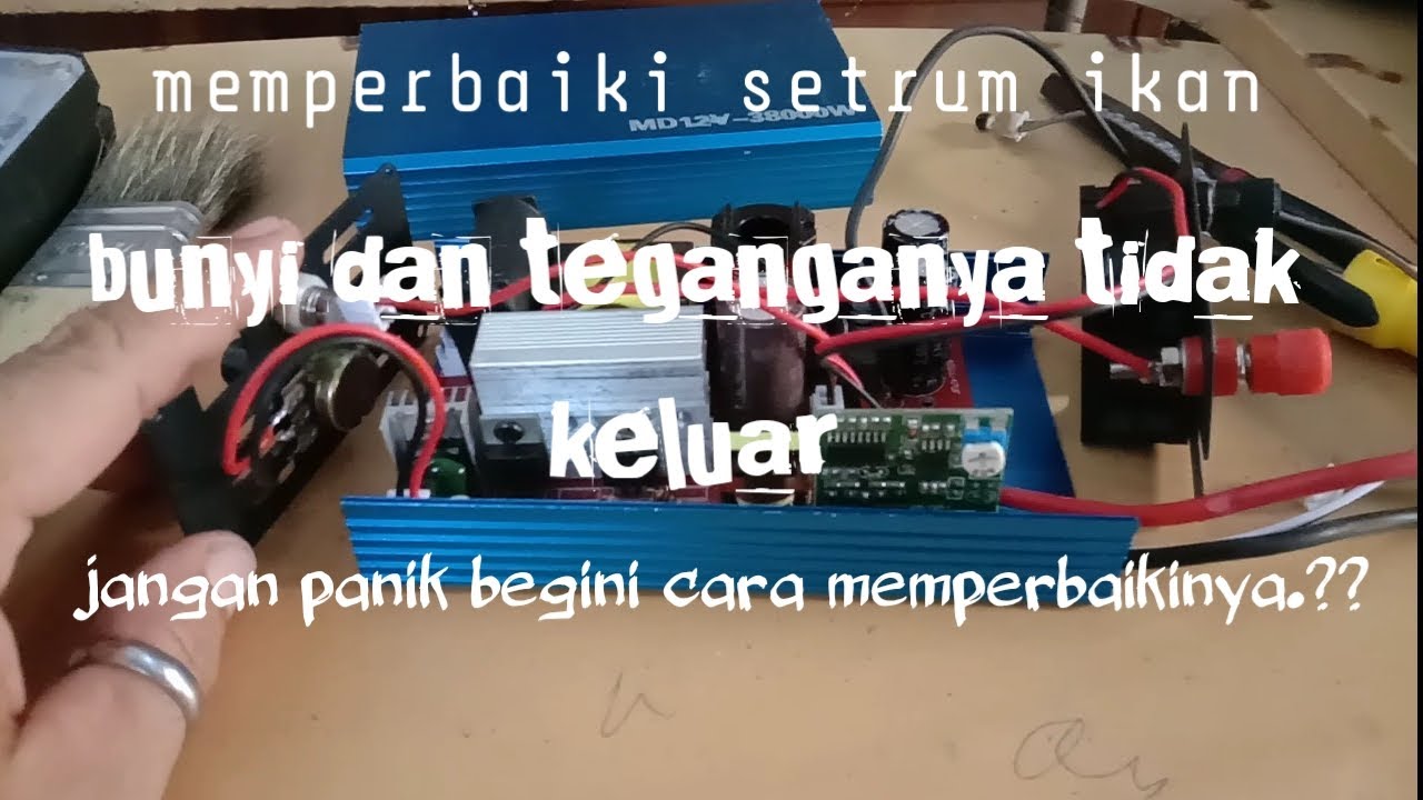 MEMPERBAIKI SETRUM IKAN ELEKTRIK TIDAK KELUAR BUNYIK DAN TEGANGAN