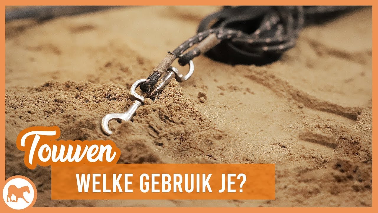 Wanneer gebruik je een leadrope, halstertouw of longeerlijn?