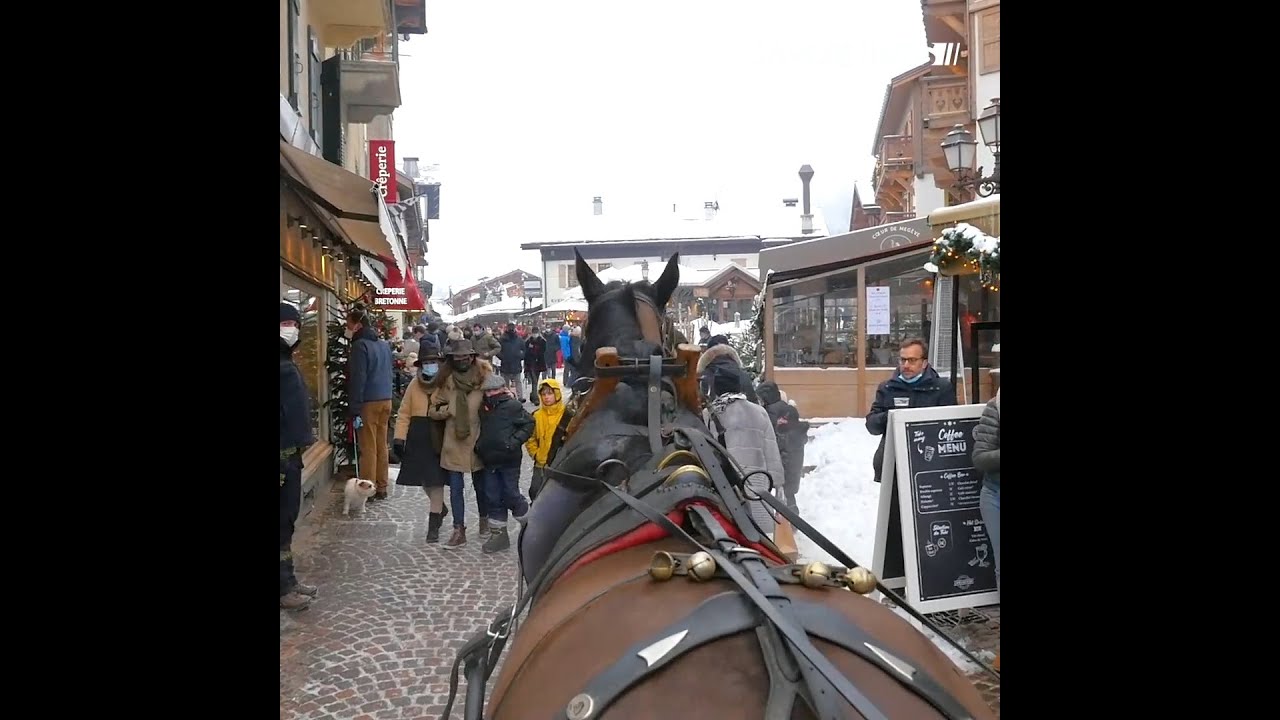 Megève : Balade en Calèche