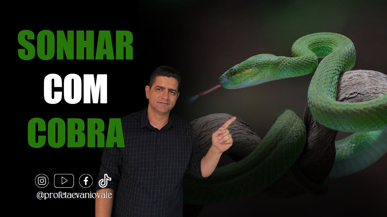 SONHAR COM COBRA 🐍 | Vários Significado, #oração #divinasrevelações #sonhos #salmo91