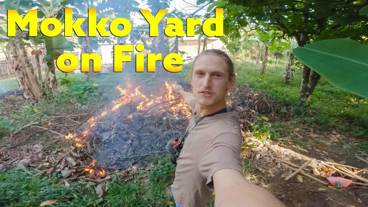 Mokko's Yard is on Fire !