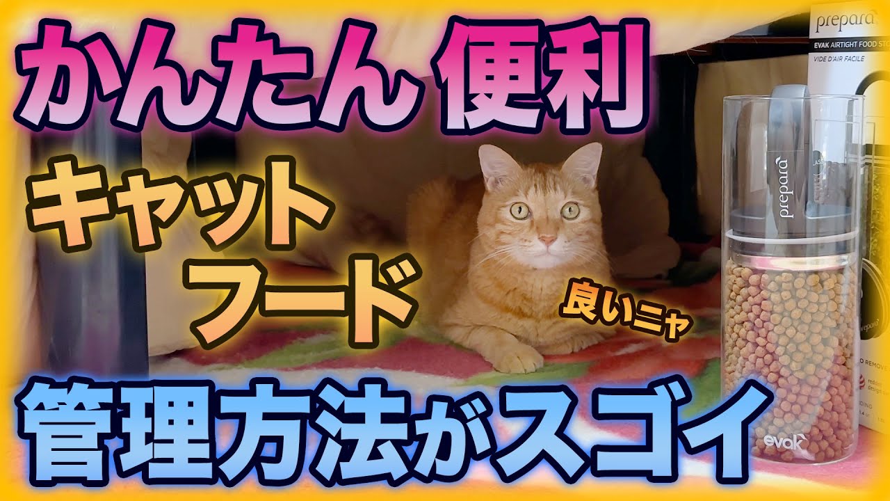 猫のご飯を酸化防止「真空保存容器」ズボラ飼い主におすすめ