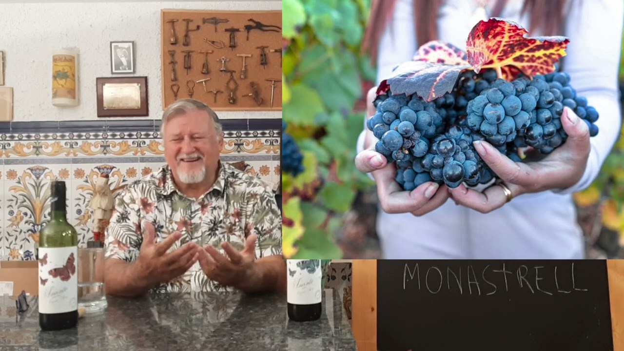 136 - Distingue entre un vino de bobal y otro de monastrell