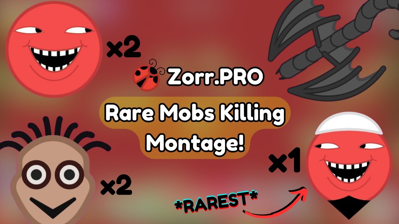 Zorr.pro | RARE Mobs Killing Monatge! | BOBA Included!