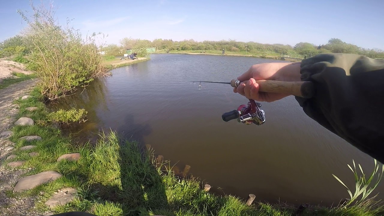 Trout Area Ultra Light Fishing *Livebiss* Dänemark 2019 Ribe (Storkesoen)