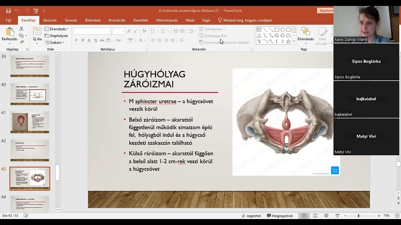 Vese patol&oacute;gi&aacute;ja, endokrin rendszer bevezet&eacute;s 29. r&eacute;sz