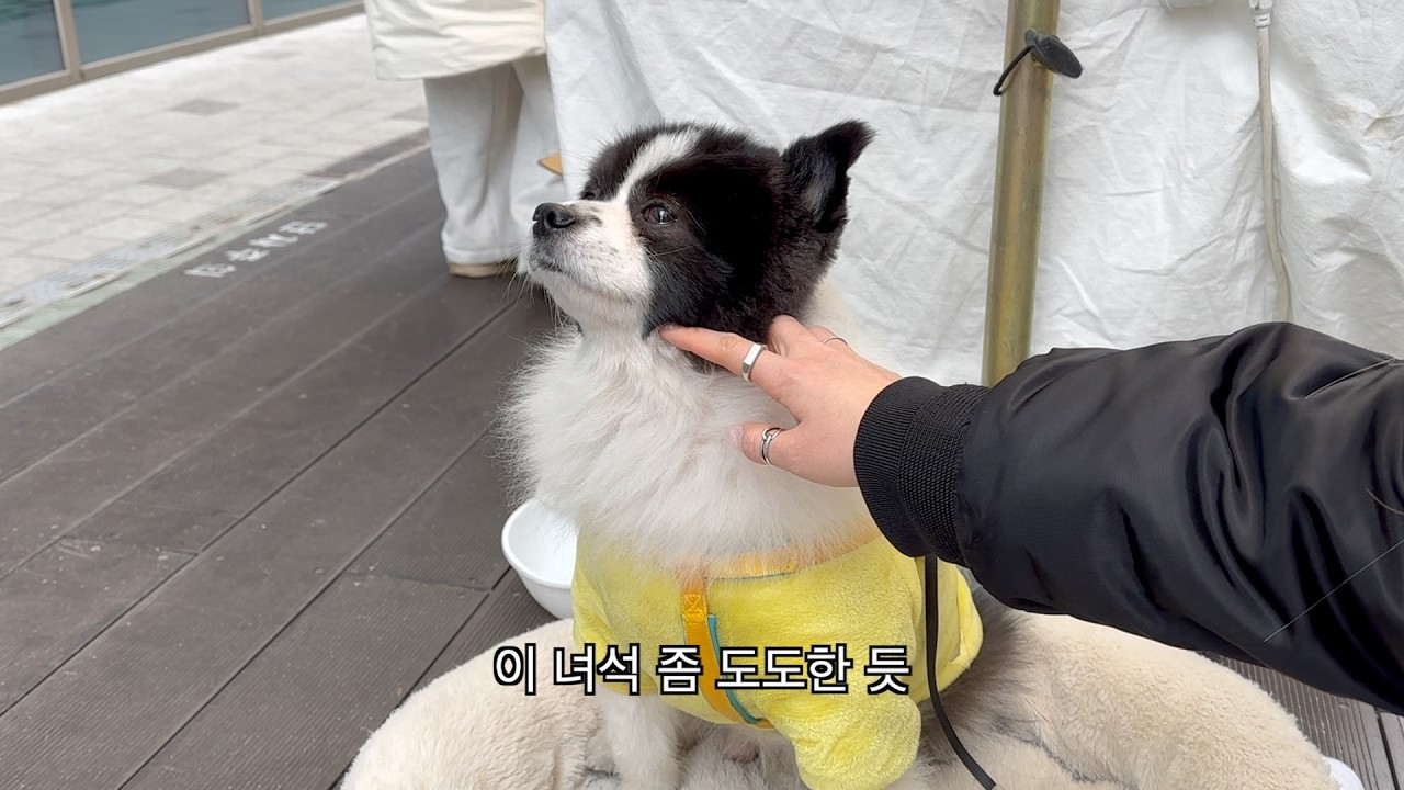 260314 348편 번화가 데이트