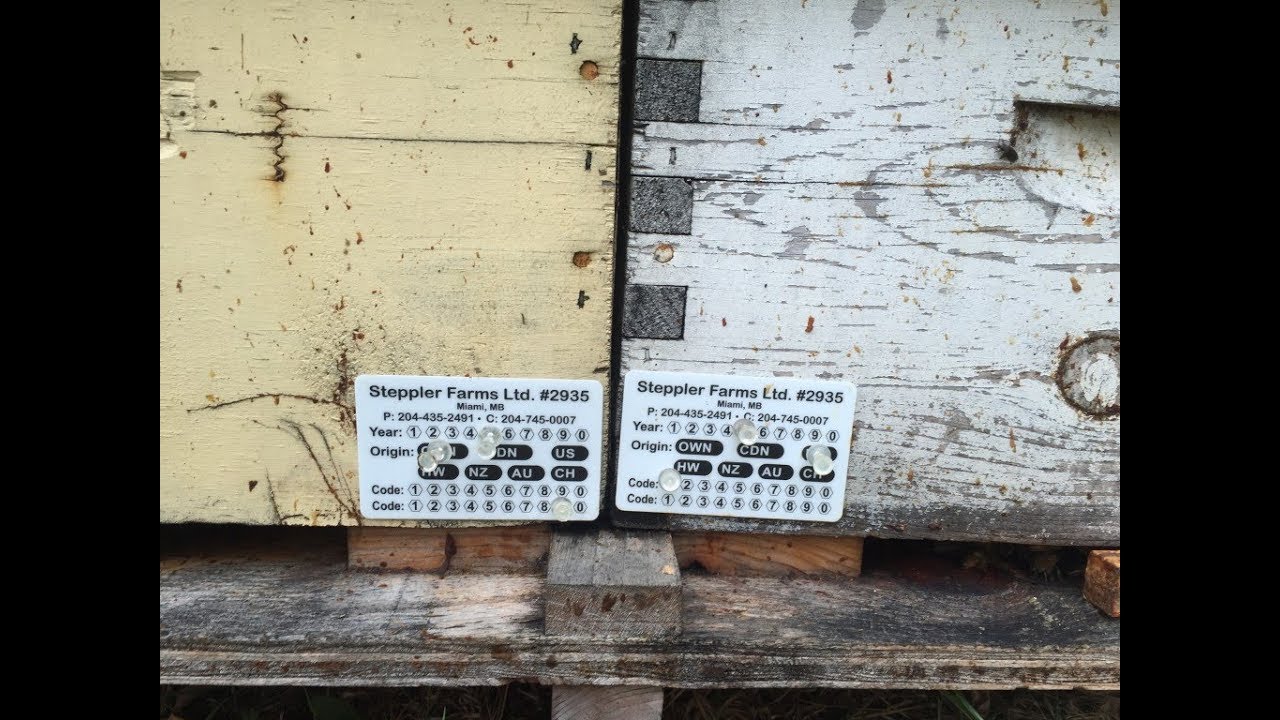 Bee hive tracking cards- a Canadian Beekeeper&rsquo;s Blog