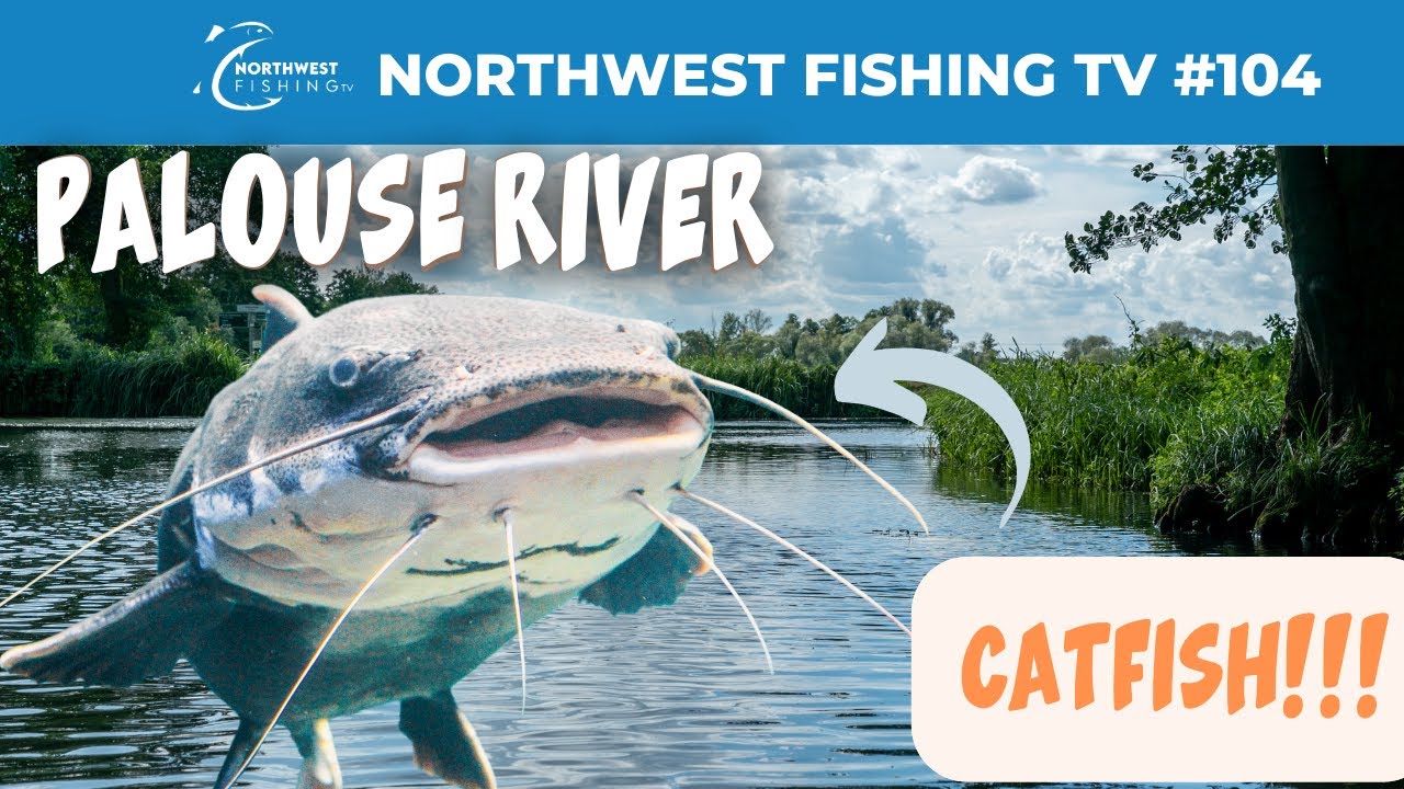 Palouse River Catfish | Northwest Fishing TV #104