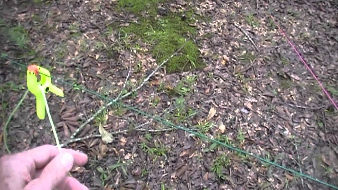 Buddistick Ham Antenna Camping Set Up