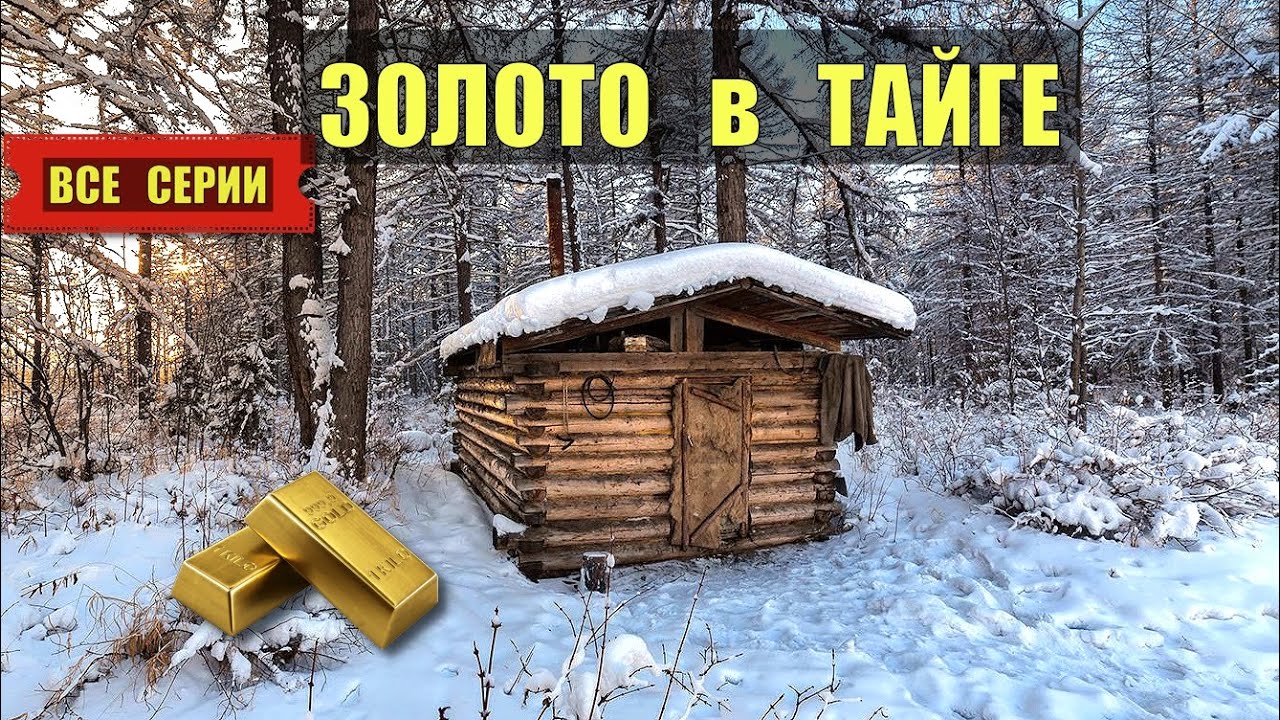 СЕРИАЛ БОМЖИ и ЗОЛОТО В ТАЙГЕ 2026 ВСЕ СЕРИИ АУДИОКНИГА ДОМ в ЛЕСУ ИСТОРИИ из ЖИЗНИ КНИГИ СЛУШАТЬ