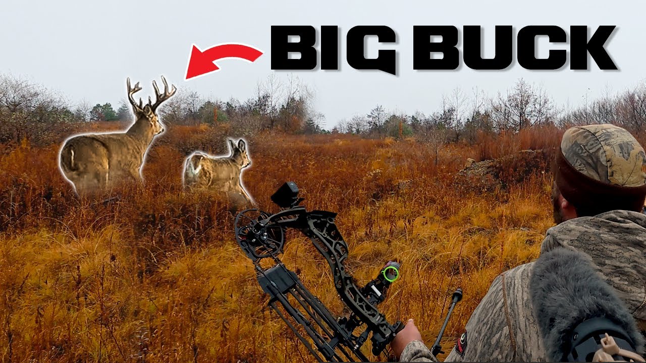 Multiple Stalks on Big Bucks! Bow Hunting the Appalachian Mountains