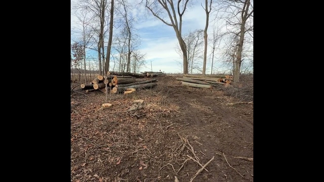 The Freedom Ranch Progress