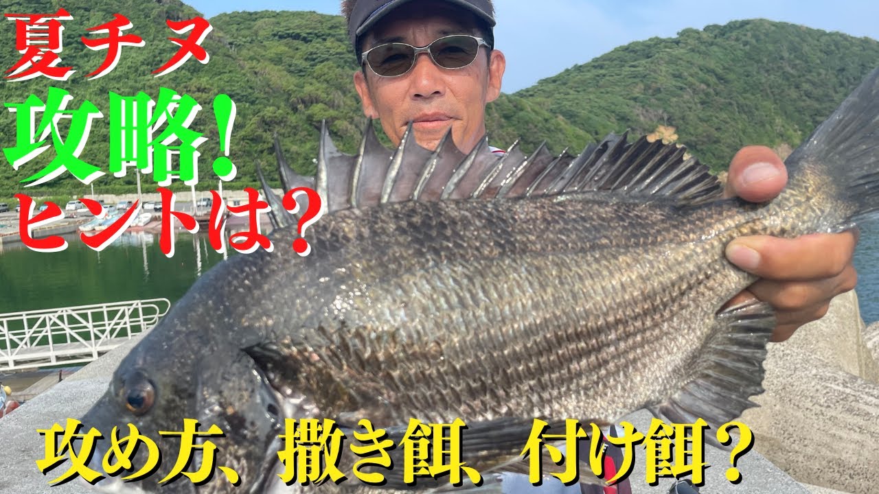 堤防釣り❗️夏チヌ攻略法とは❔