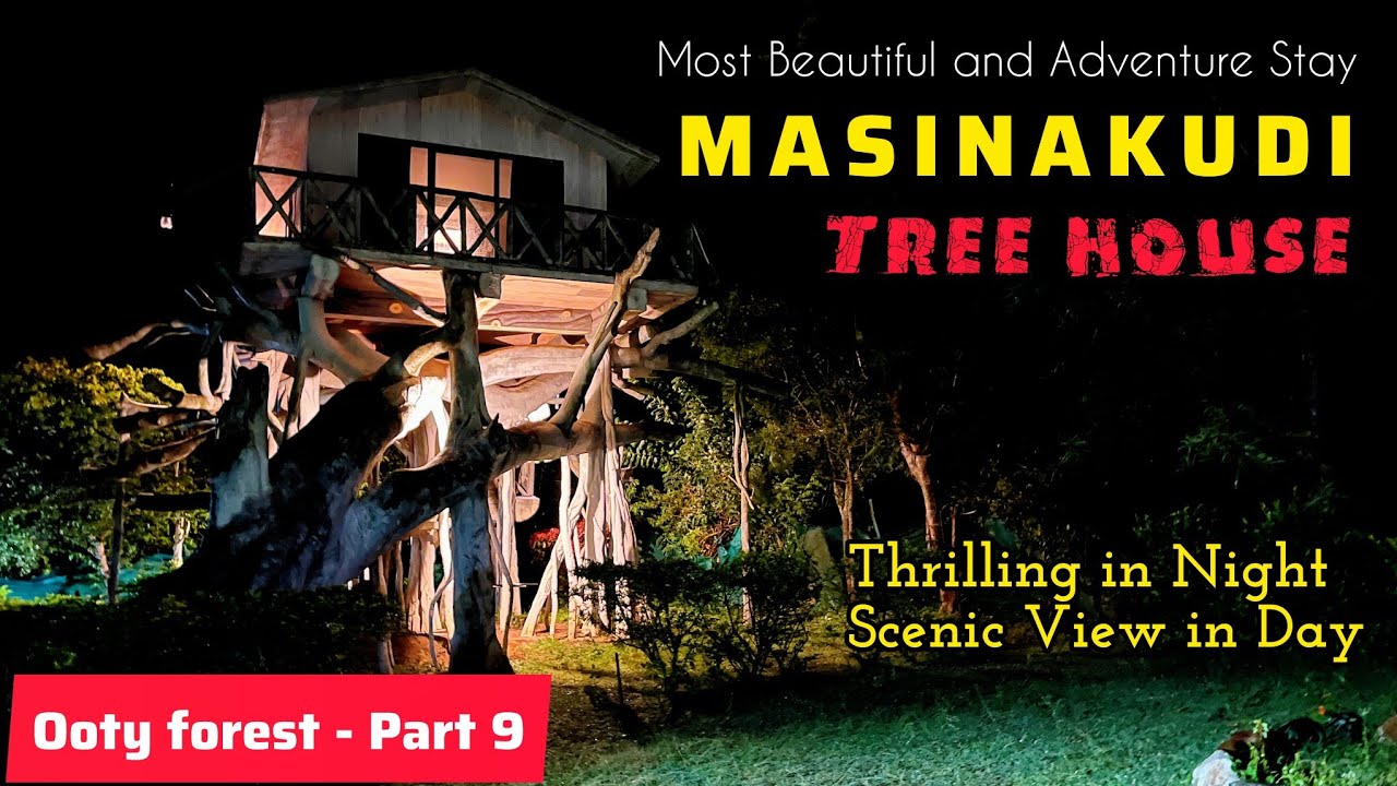 Tree house Masinakudi | Bamboo House | Mavanalla | Stay Near Reserved forest | Ooty Adventure Part 9
