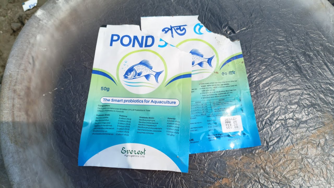 প্রোপাইটিক দিয়ে প্লাংকটন তৈরি #fish #pond #mrfishing 