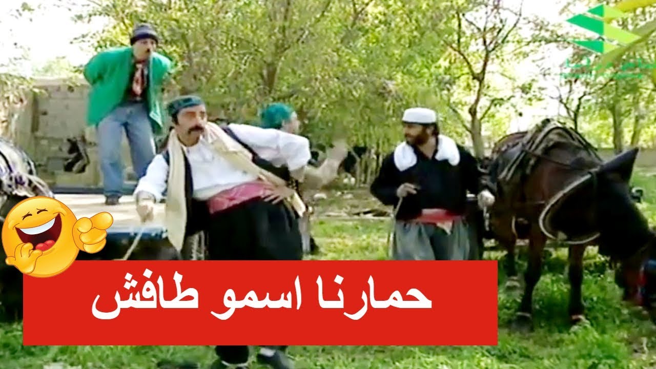 درويش وزكي اشتروا حمار اسمه طافش ـ شوفو لوين اخدوه ـ عش المجانين