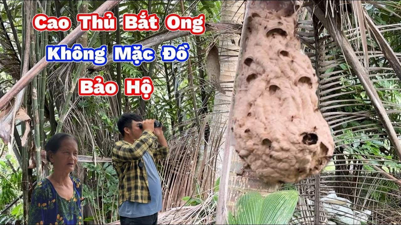 Nổi ÁM ẢNH Lo Sợ Khu Vườn Bà Cụ Có Tổ Ong. The Haunting of the Old Lady's Garden with the Beehive