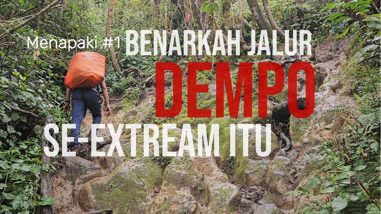#1 Se Ekstream itukah Track Gunung Dempo II sepanjang jalur sampai Shelter 2 tanpa jalur iconic.