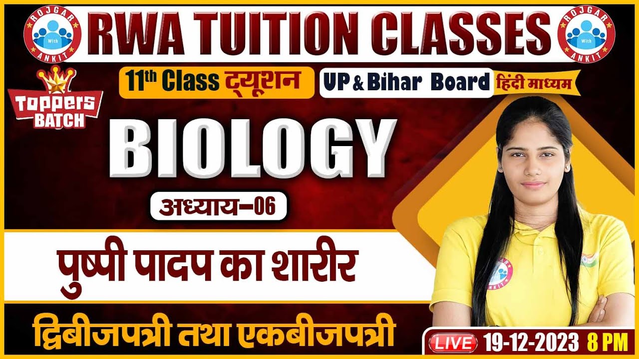 पुष्पी पादप का शारीर, द्विबीजपत्री तथा एकबीजपत्री, UP/Bihar Board 11th NCERT Biology Class