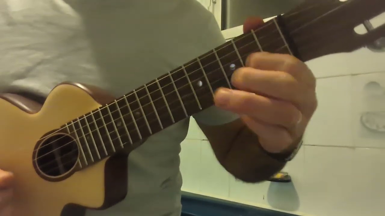Guitare octave corde acier