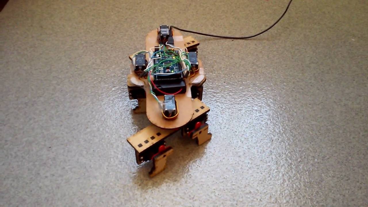 Walking Stick (Robot) by Muhammad Aftab