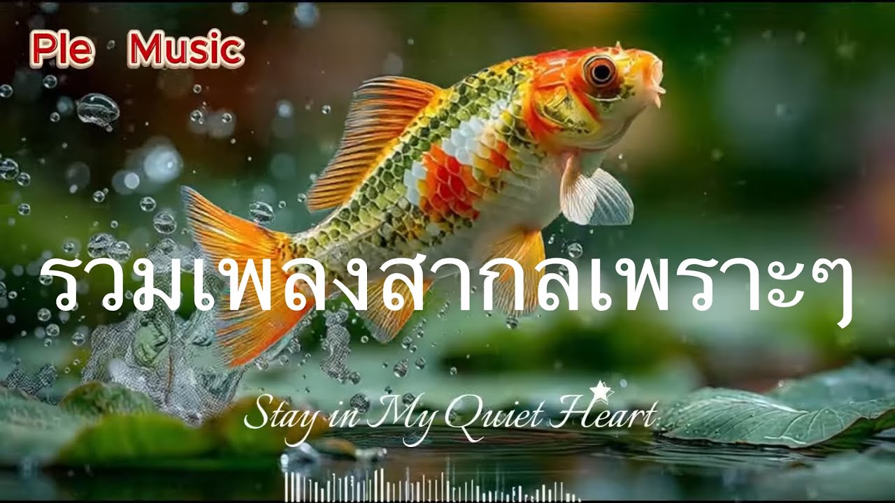 ❤️เพลงรักหวานละมุน💕รวมเพลงสากลเพราะๆ🌹รอยจูบที่ยังไม่ลืม