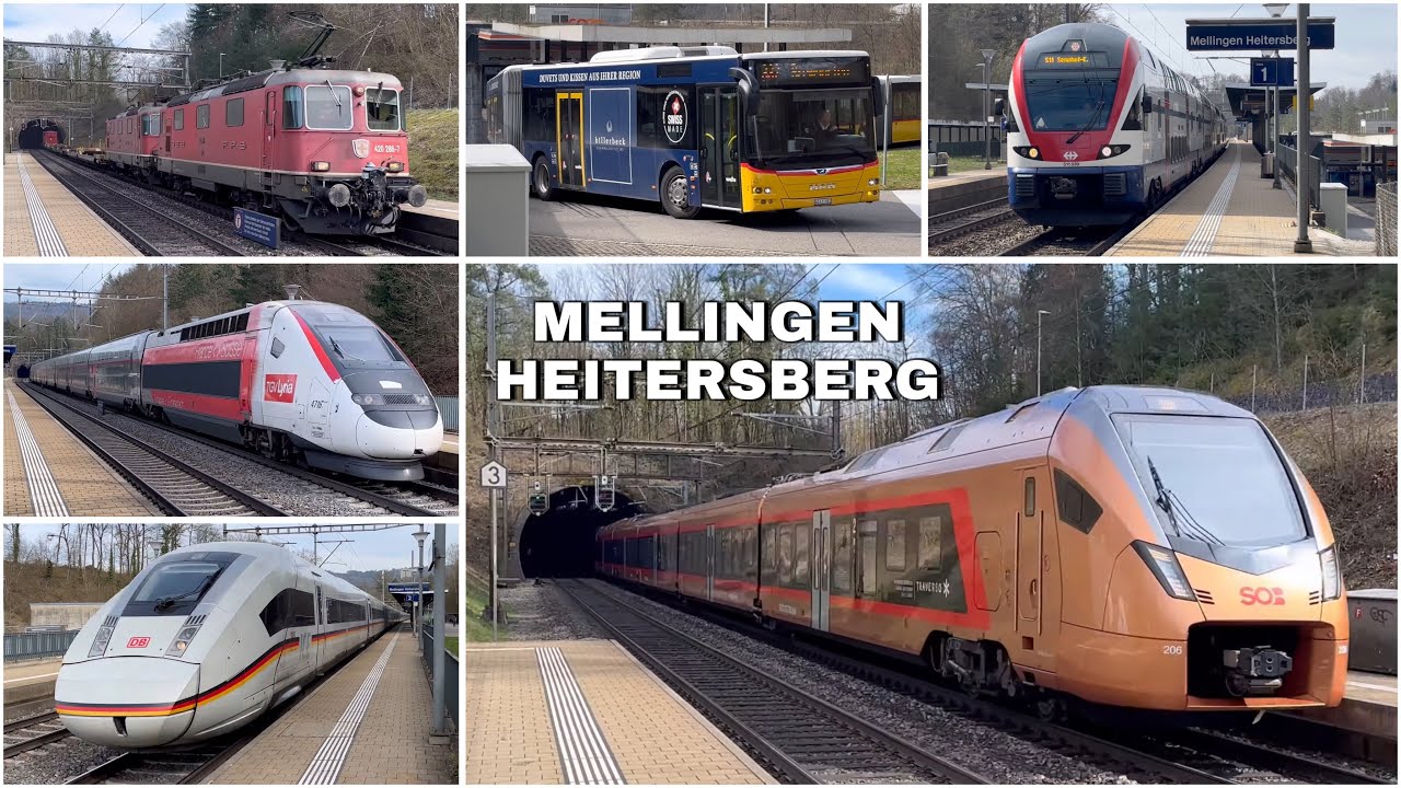 Züge beim Bahnhof Mellingen Heitersberg | Trains at Mellingen Heitersberg station (2024)