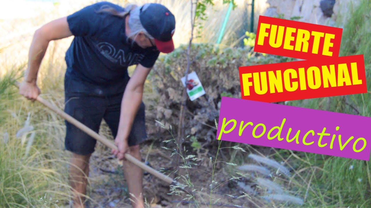 Plantando AZUFAIFO paso a paso. Porqué los escogimos.  No temas sustituir si no funciona