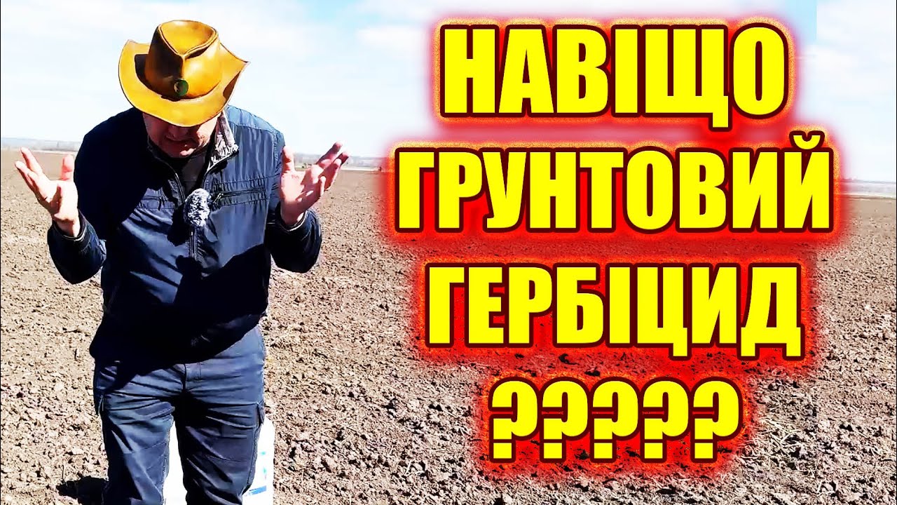 ЧИ МОЖНА вирощувати БЕЗ ДОВСХОДОВОГО НА СОНЯШНИКУ та кукурудзі ? яка врожайність з ґрунтовим та без