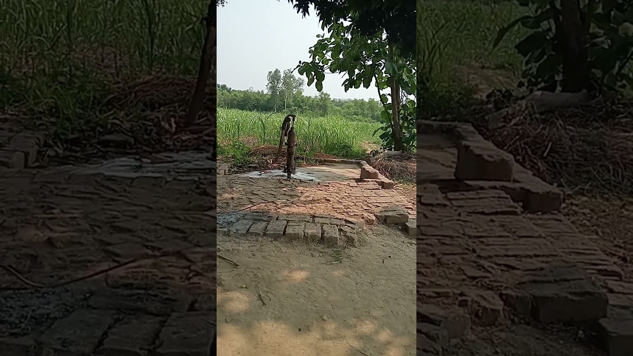 #shivanivlog