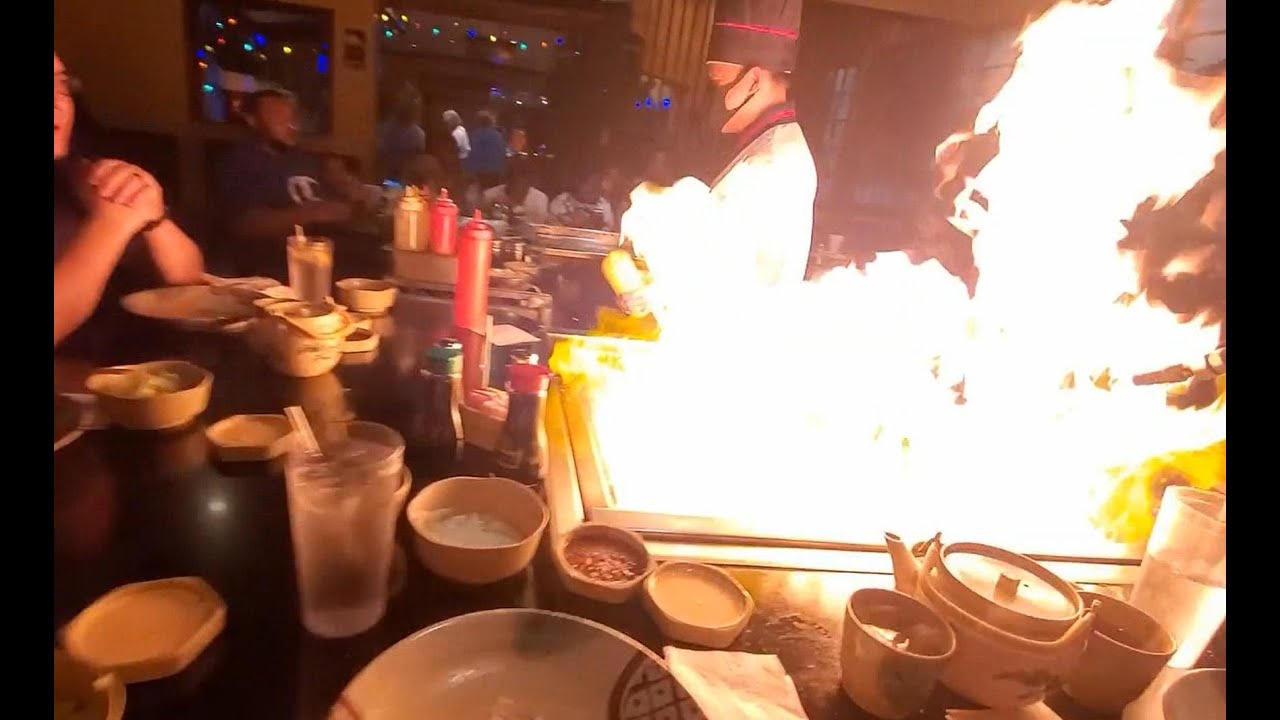 Dinner with a professional chef at Daruma Japanese Steakhouse / Florida, Jacksonville
