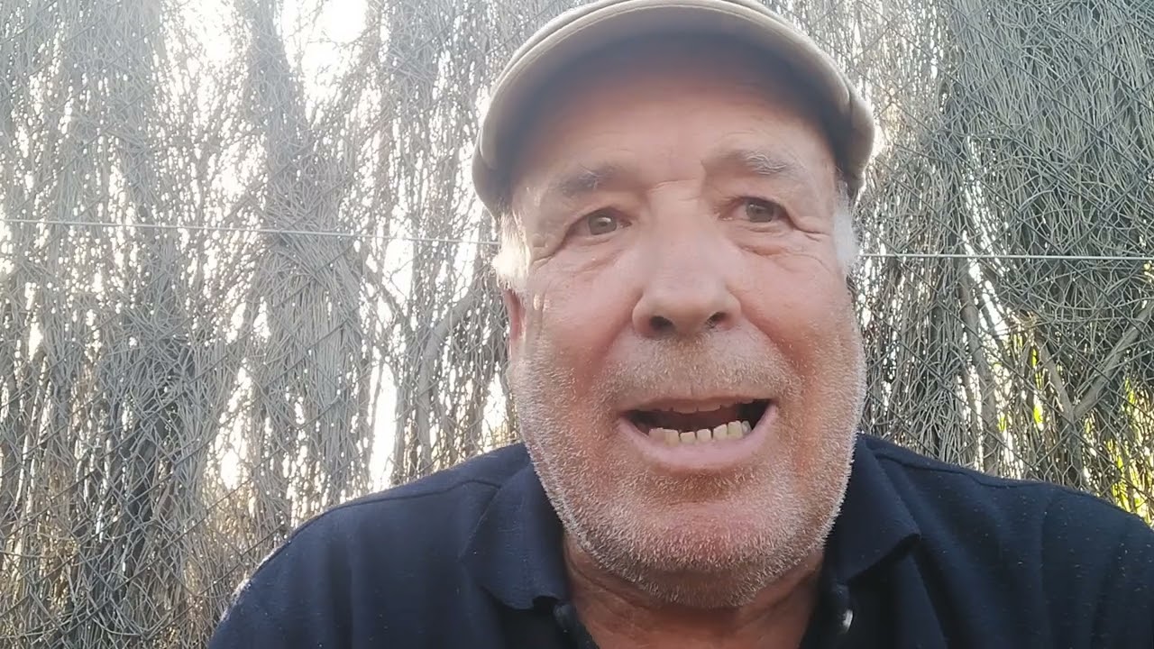 la culpa no es del perdigón sino del perdigonero