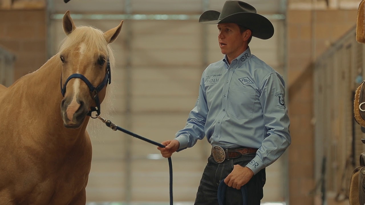 Bud Lyon: Leg Protection