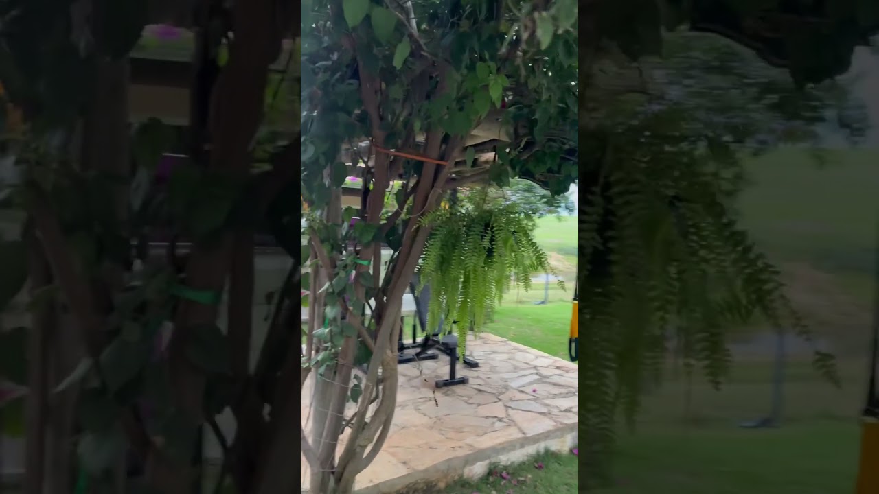 Academia na fazenda #treino #personaltraining #academiaemcasa #luxurylifestyle #casaluxuosa