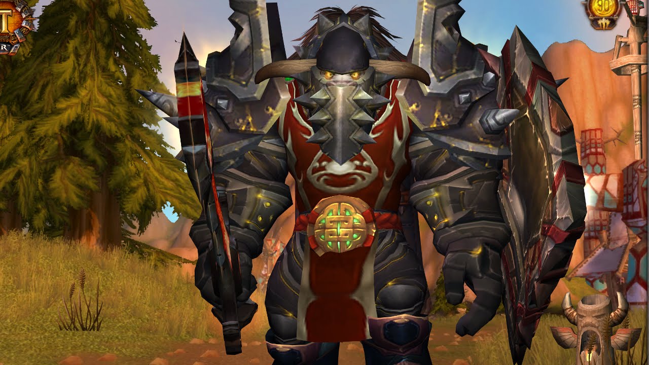So Why a Warrior? - Taking Own Advice
