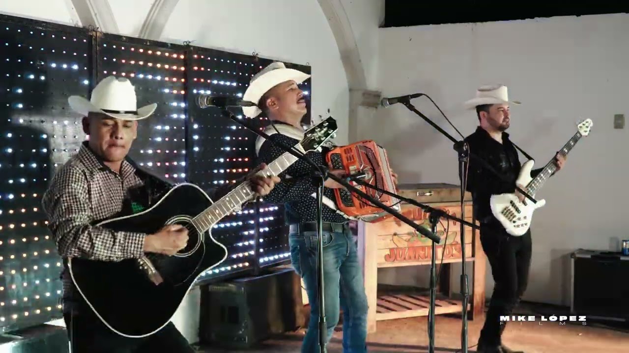 Novilleros de la Sierra - Pálida Rosa // EN VIVO