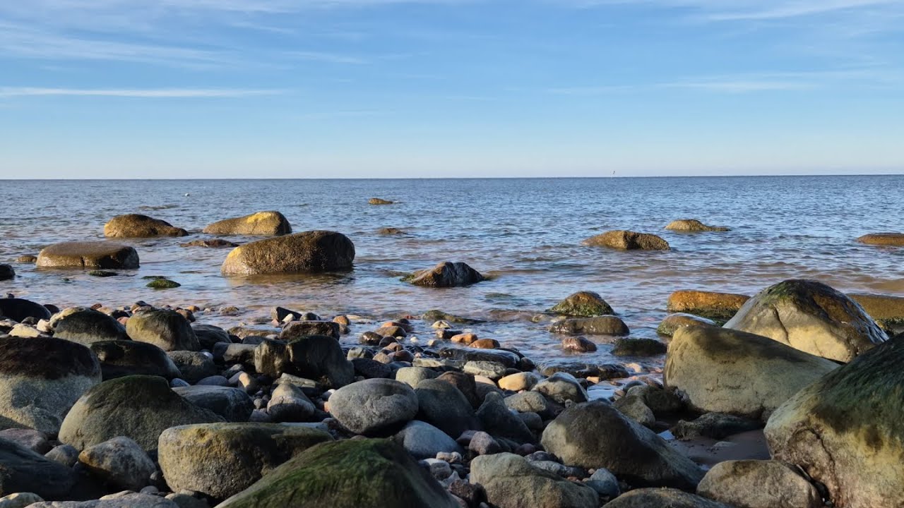 Calm Ocean Waves & Rocky Shore 🌊 | Relaxing Sea Sounds for Sleep, Focus & Stress Relief (4K Live)