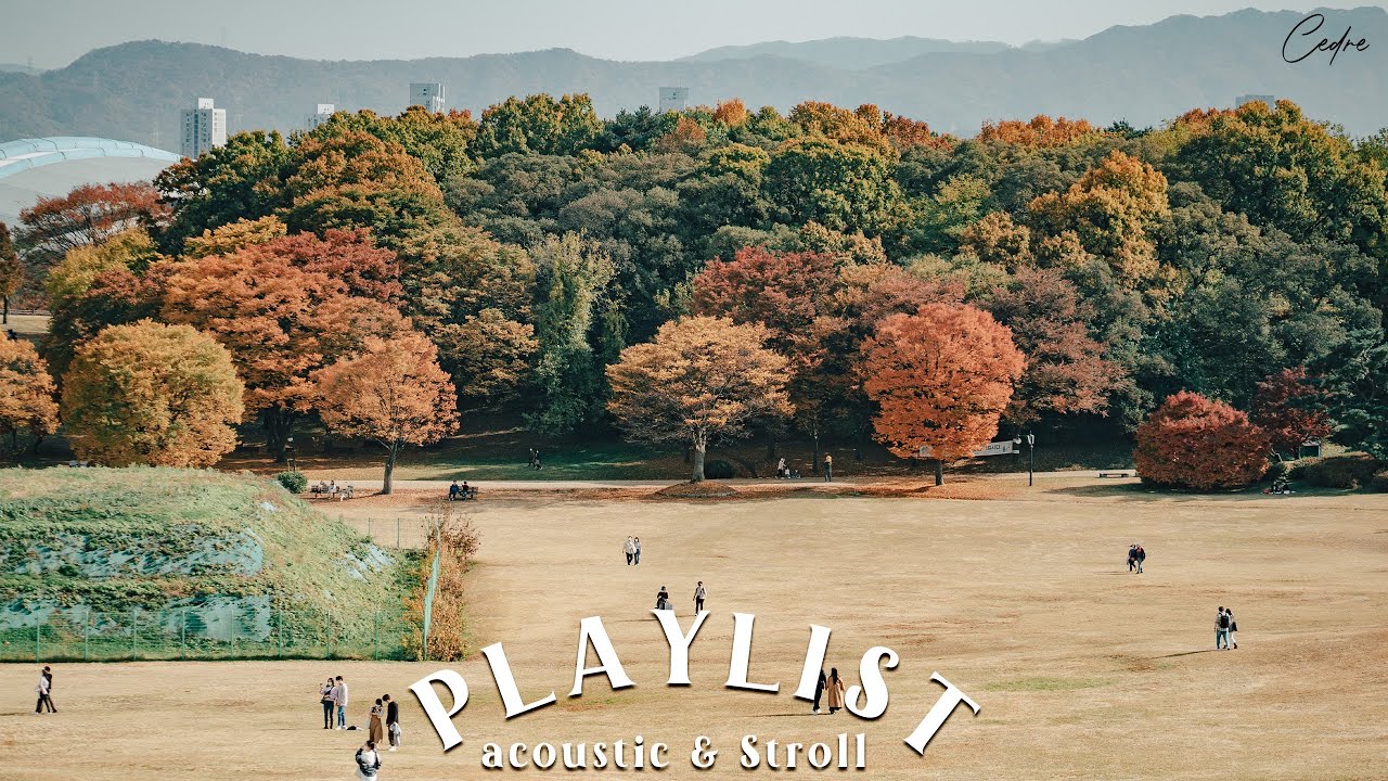🍂 점심 시간, 잔잔한 기타와 목소리 | 어쿠스틱 인디 playlist