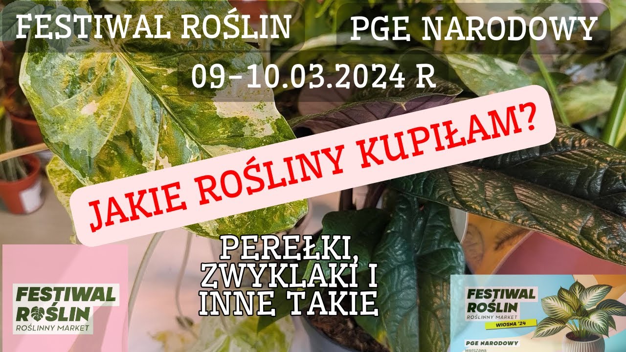 Nowe rośliny w kolekcji 😊 Festiwal roślin 🌿 wiosna 2024 🌻 Warszawa 🧜 PGE Narodowy 🌵
