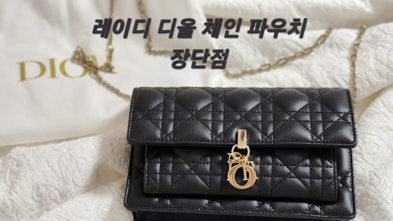 레이디 디올 체인 파우치 장단점🙂