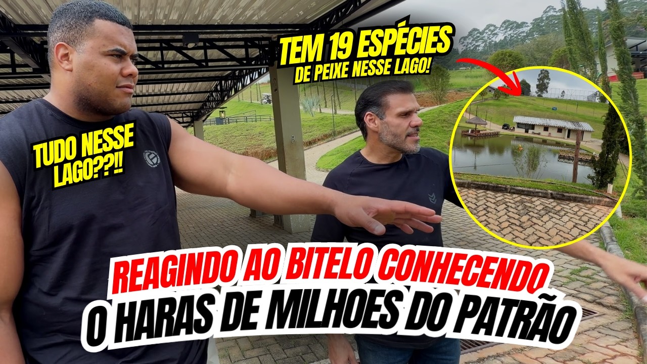 REAGINDO AO BITELO CONHECENDO O HARAS DE MILHÕES DO PATRÃO
