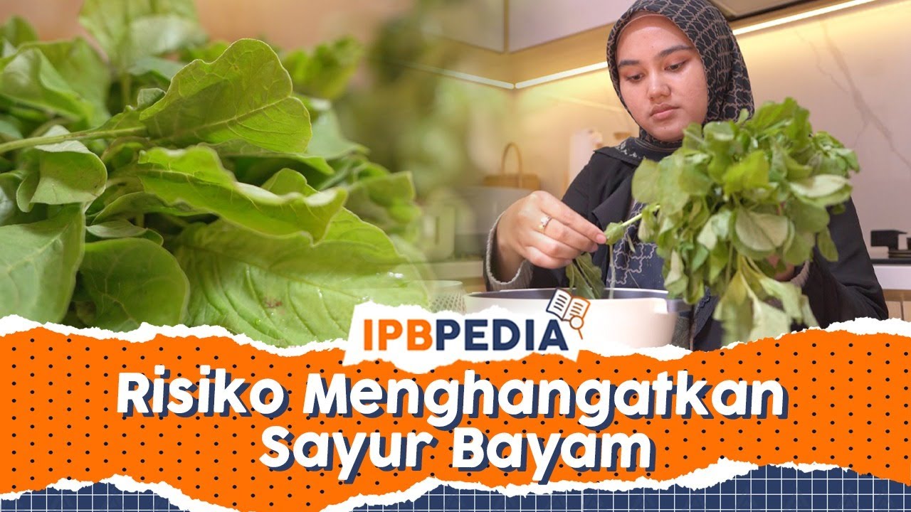 IPB Pedia: Kenapa Sayur Bayam Tidak Boleh Dihangatkan?