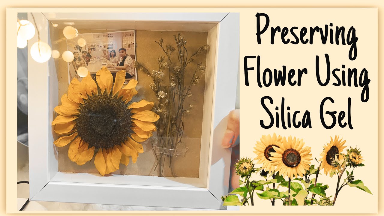 How to Preserve Flowers 🌻