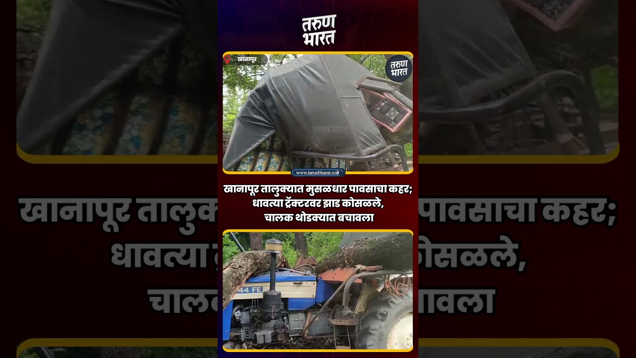 खानापूर तालुक्यात मुसळधार पावसाचा कहर; धावत्या ट्रॅक्टरवर झाड कोसळले, चालक थोडक्यात बचावला