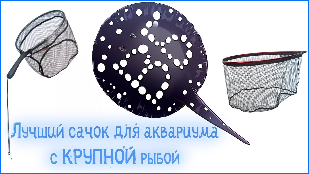 Лучший сачок для аквариума с КРУПНОЙ РЫБОЙ!