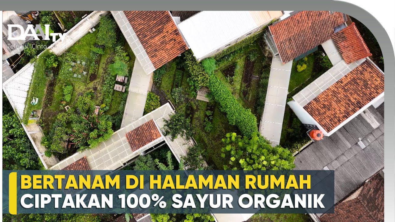 Tanam Sayur Sehat untuk Keluarga - Tanasurga Salatiga